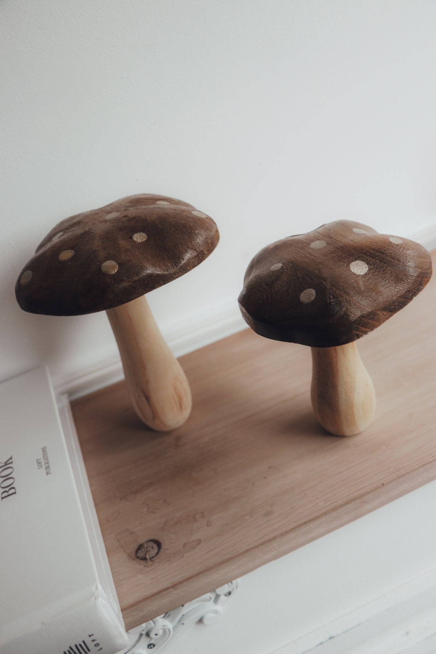 Champignons en bois