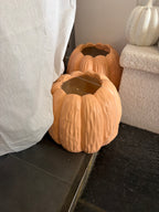 Pot à fleur