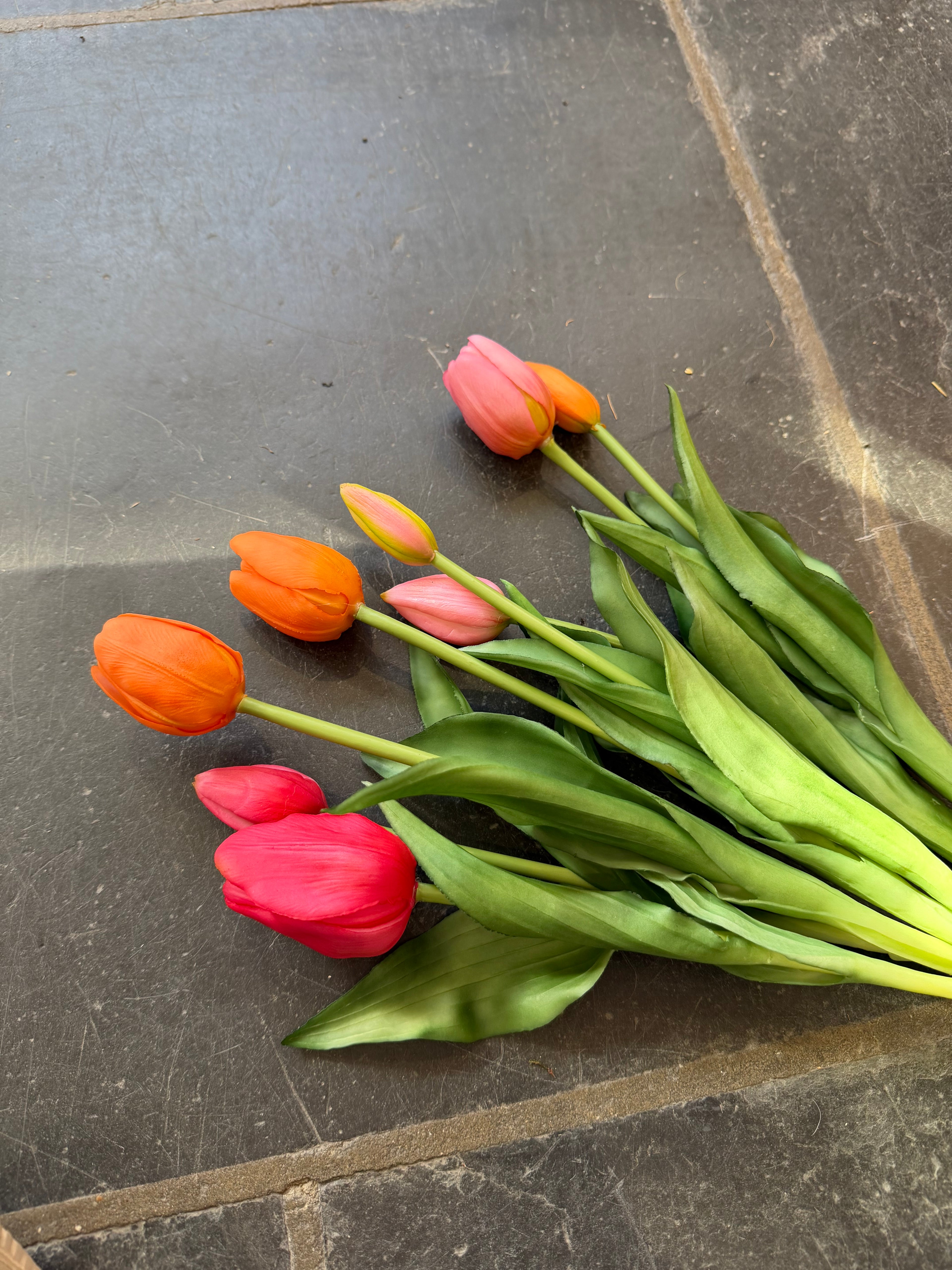 Falsche Tulpen – echte Berührung Blume
