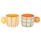 Lot de 2 mugs Fruit Life avec anse agrume