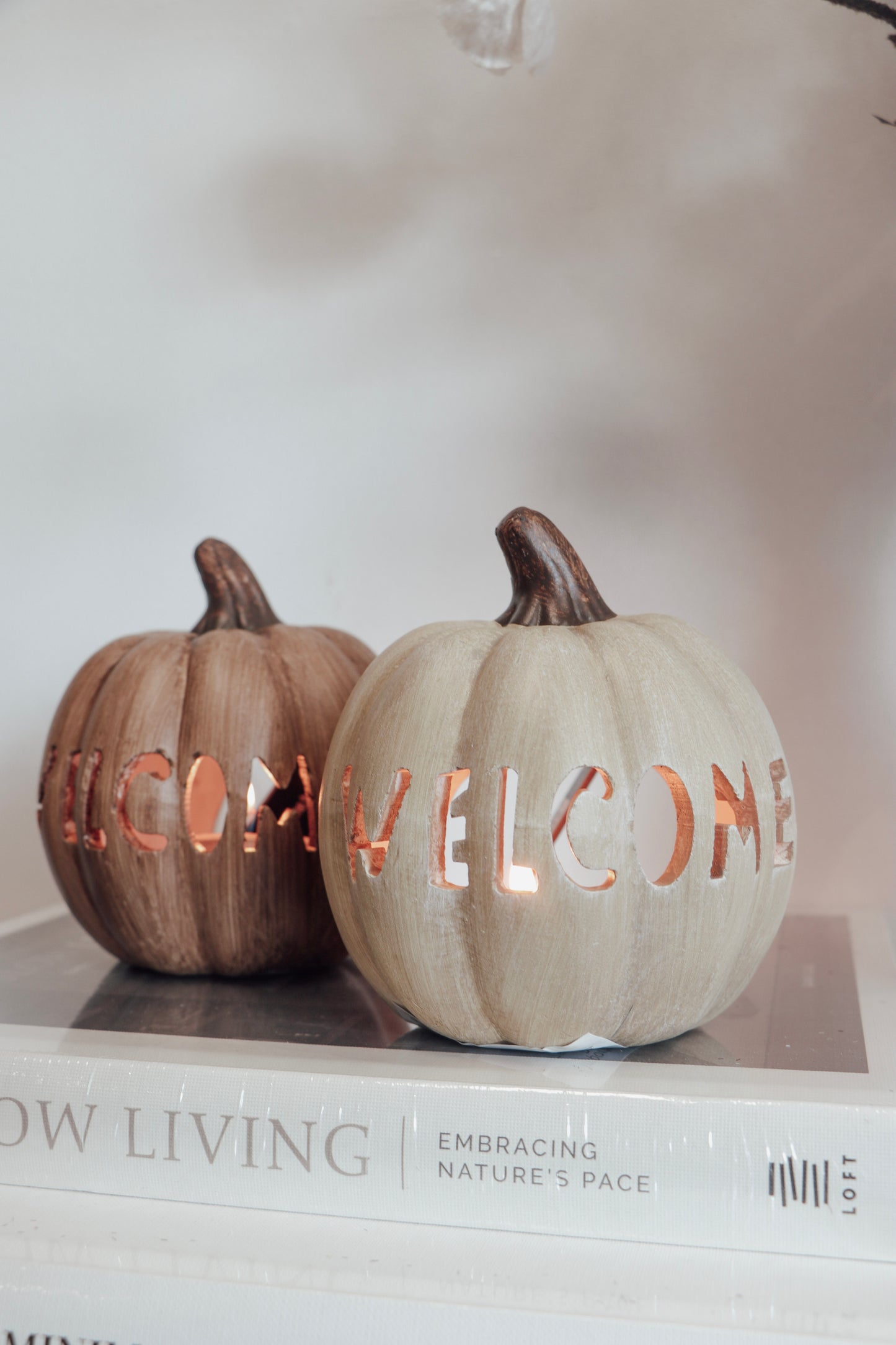 Citrouilles Welcome