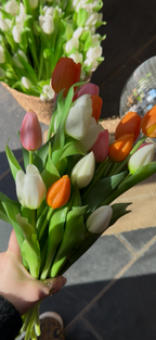 Strauß weißer Tulpen