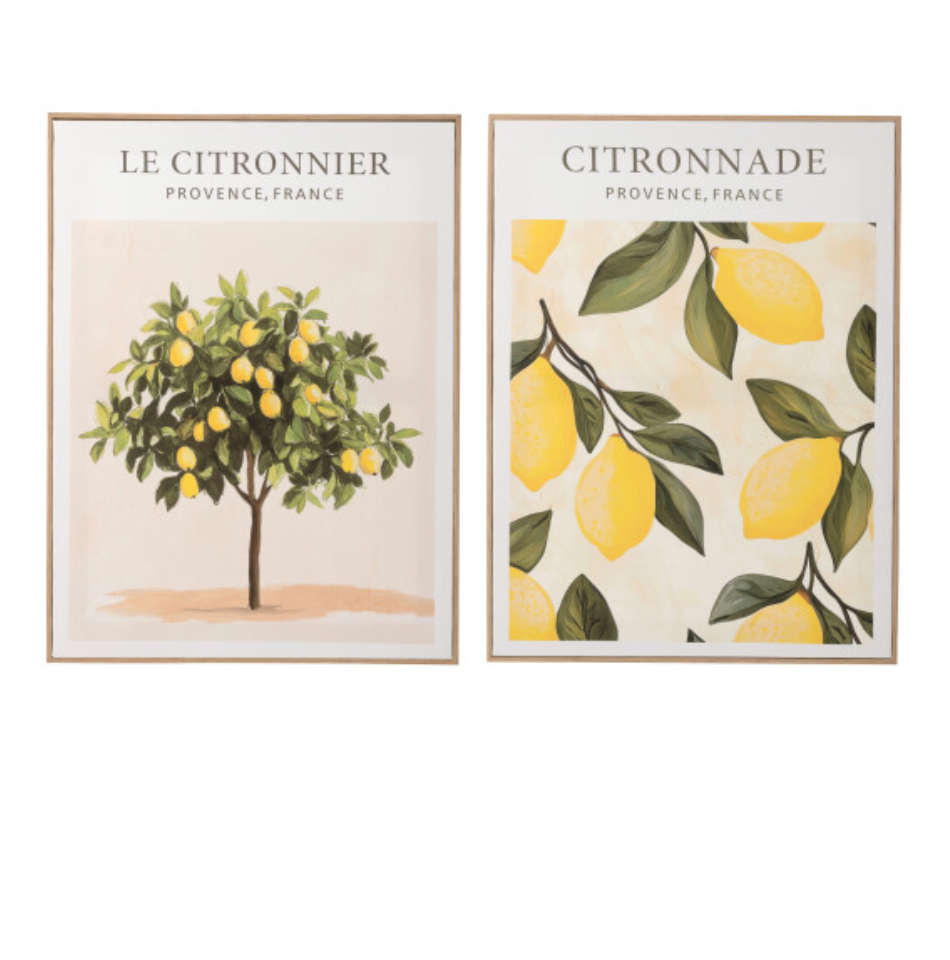 Cadre citronniers