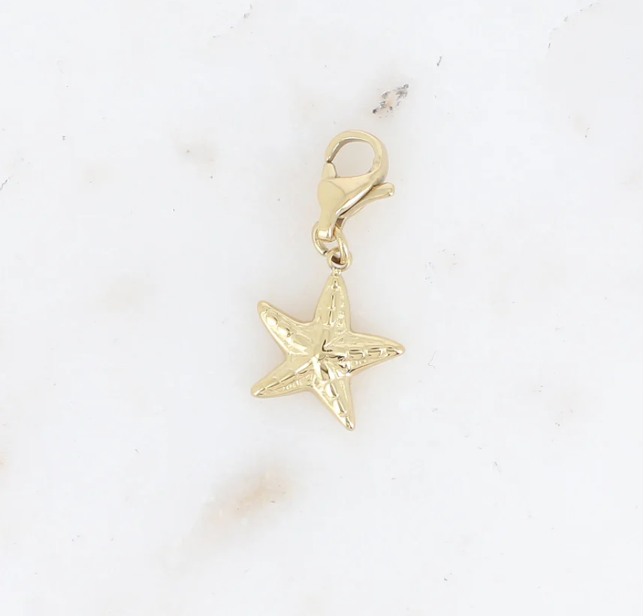 Charms étoile de mer