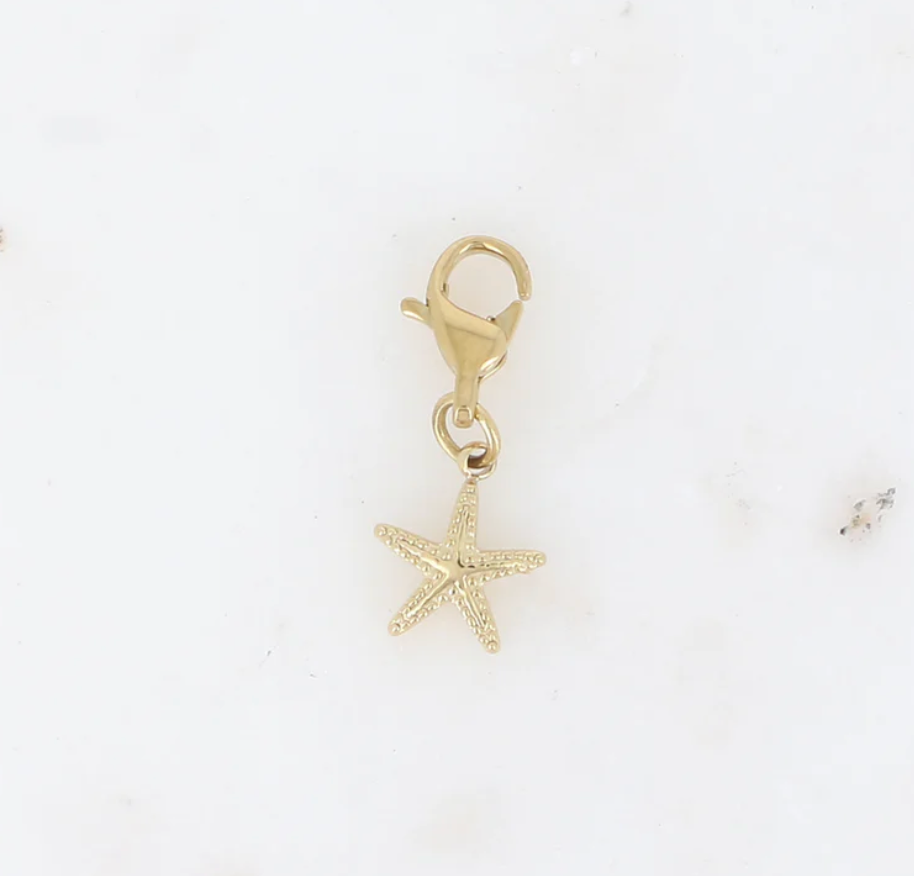 Charms étoile de mer