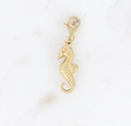 Charms hippocampe