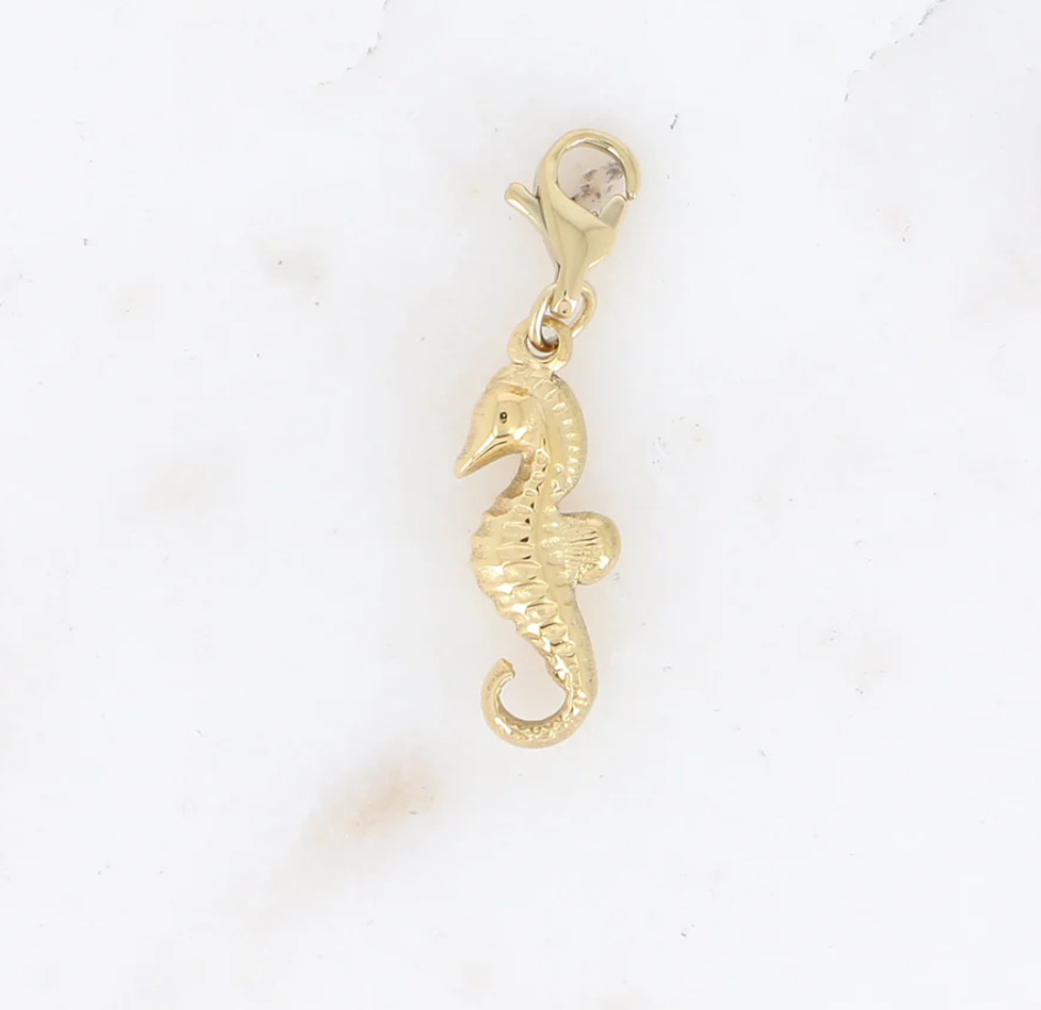 Charms hippocampe