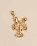 Charms homard