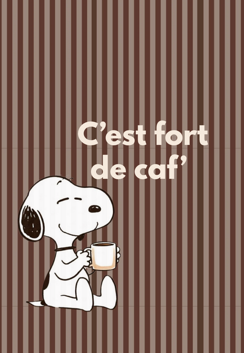 Affiche c'est fort de caf'