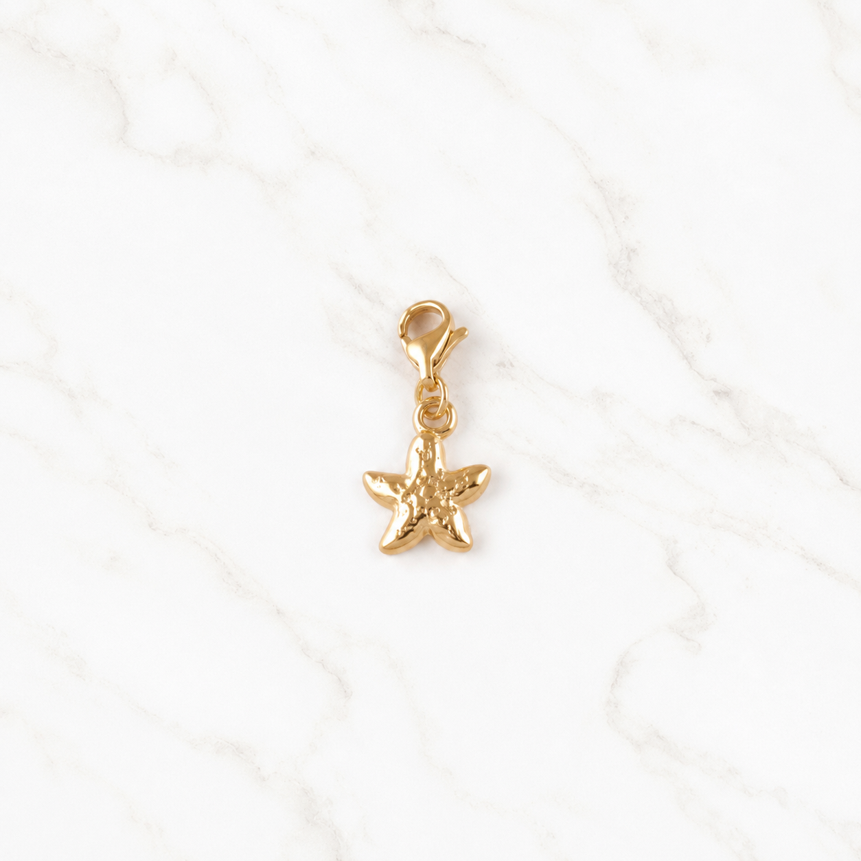 Charms étoile de mer