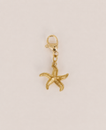 Charms étoile de mer