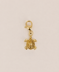 Charms tortue