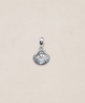 Charms coquillage