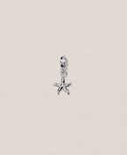 Charms étoile de mer