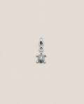 Charms tortue