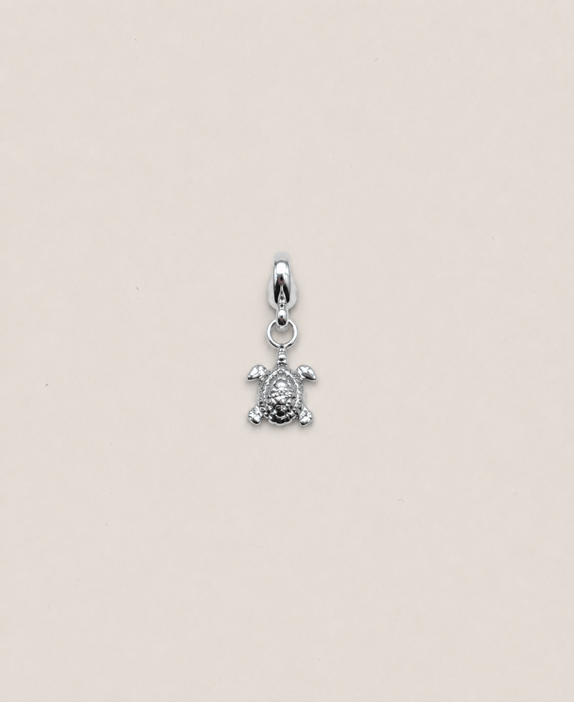 Charms tortue