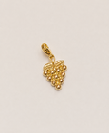 Charms raisins