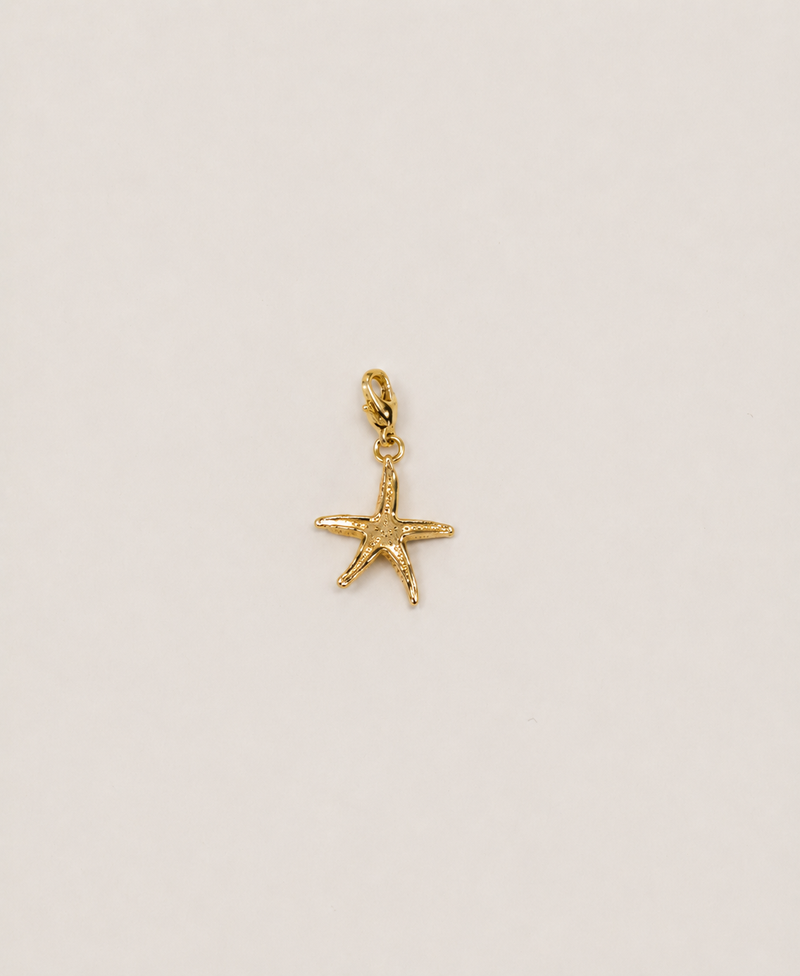 Charms étoile de mer