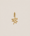 Charms corail