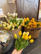 Tulpenstrauß + persönliche Nachricht