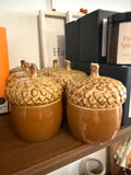 Boîte gland marron