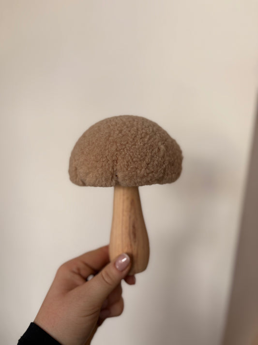 Champignon pilou