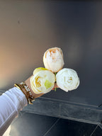 Pivoines (toutes couleurs)