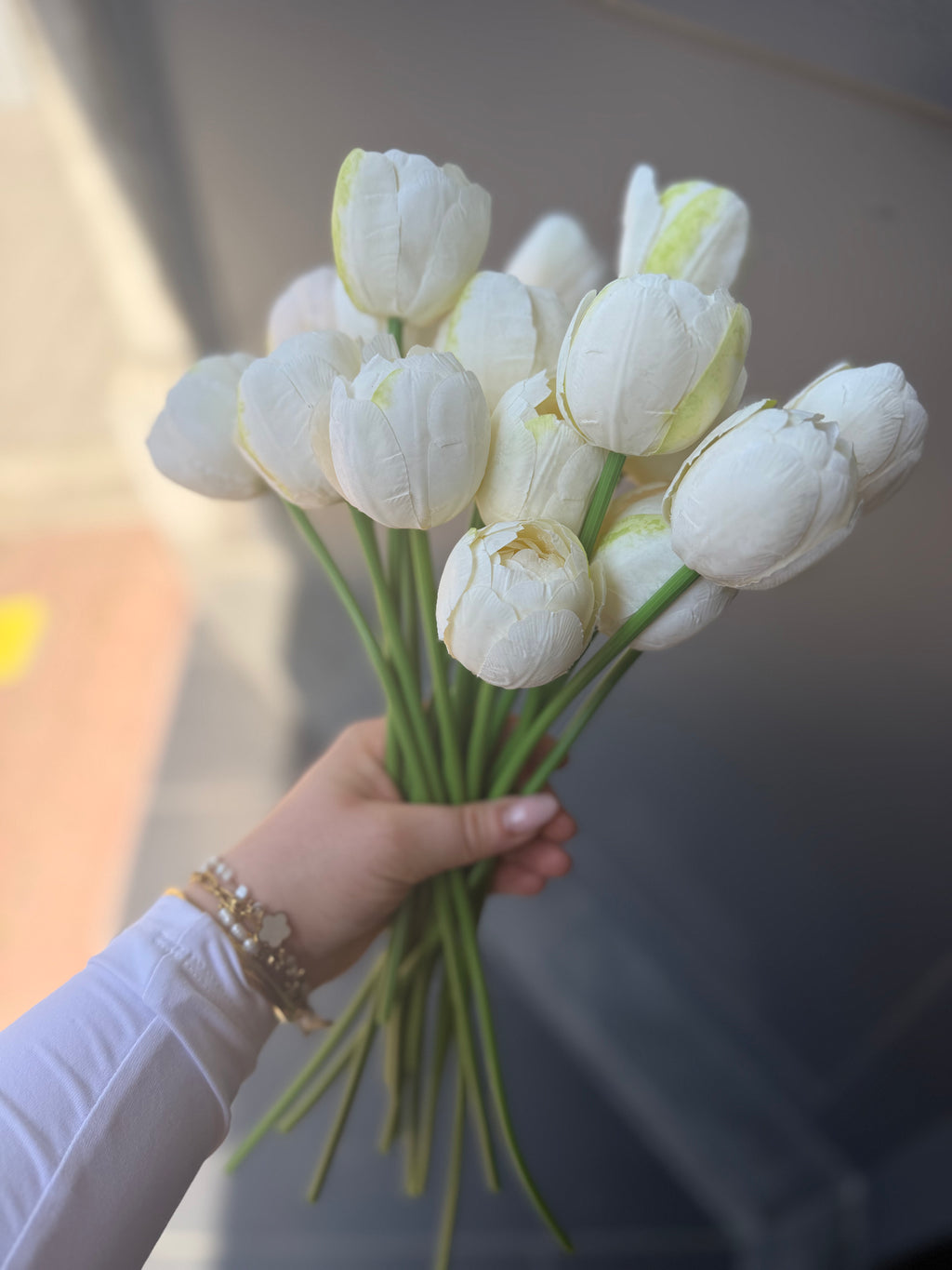 Pivoines (toutes couleurs)