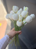 Pivoines (toutes couleurs)